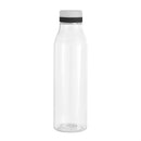 Botella "ANDINA FROST"